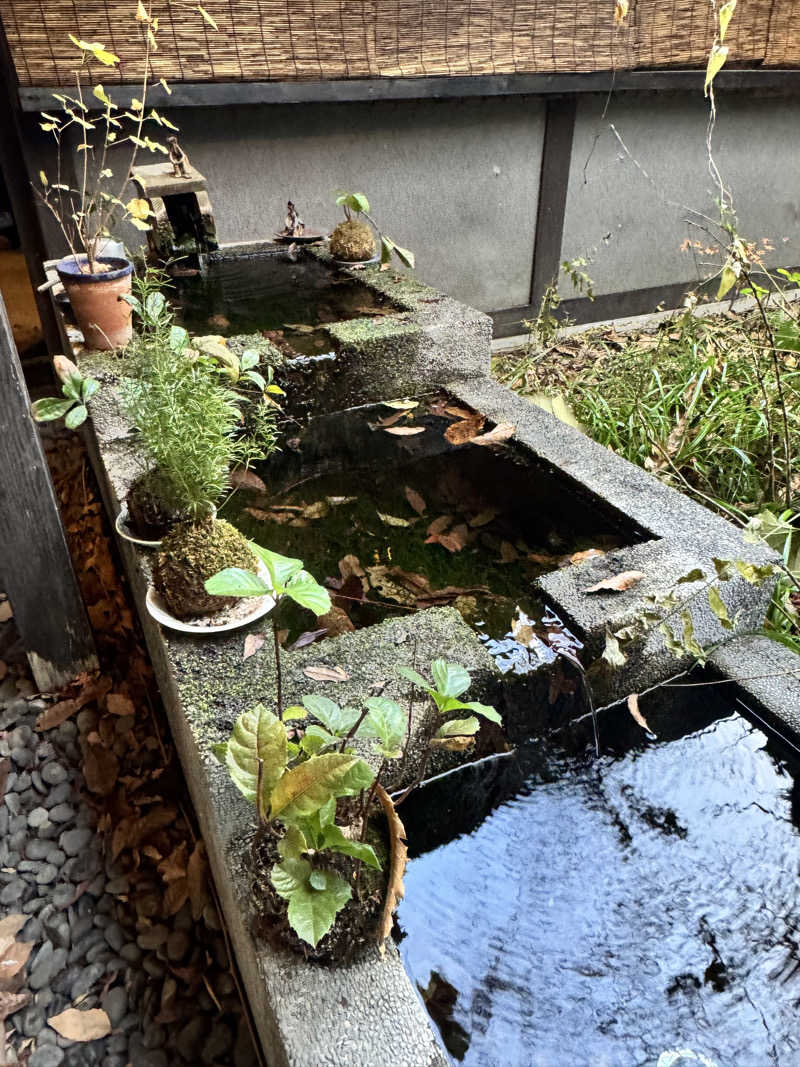 あかりん🌝🍑さんの宿房 翡翠之庄のサ活写真