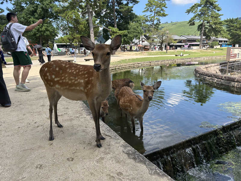 サウナー098🍀さんのほてい湯のサ活写真