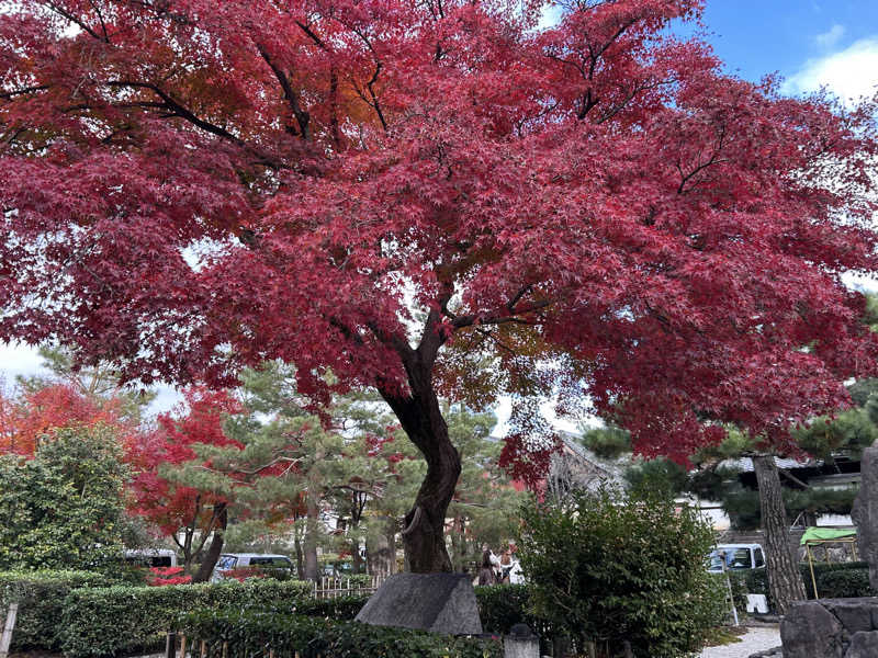 サウナー098🍀さんの白山湯 高辻店のサ活写真