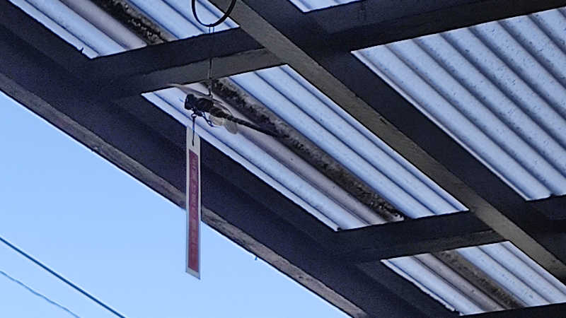 カマボコ侍。さんの栃木天然温泉 いきいき夢ロマンのサ活写真