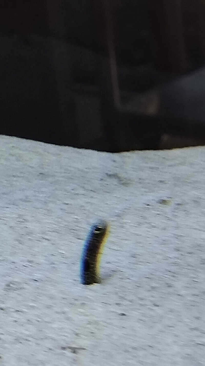 カマボコ TRAVEL® 硬式チャンネルさんの道の駅たかねざわ 元気あっぷむらのサ活写真