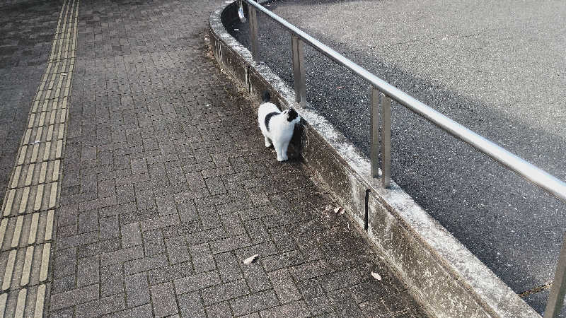 カマボコ侍。さんのビアスパークしもつまのサ活写真