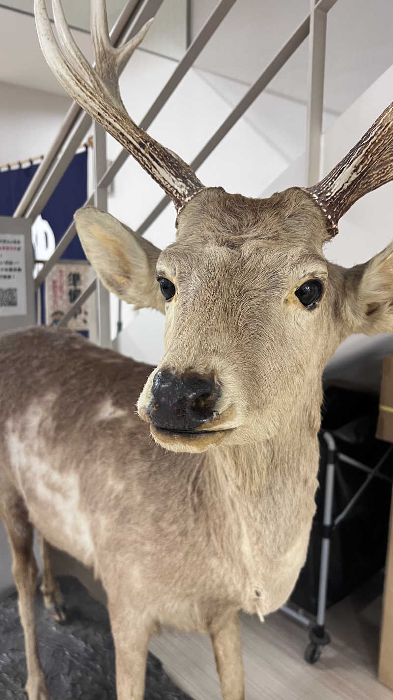 CANTALOWさんの恵庭温泉ラ・フォーレのサ活写真