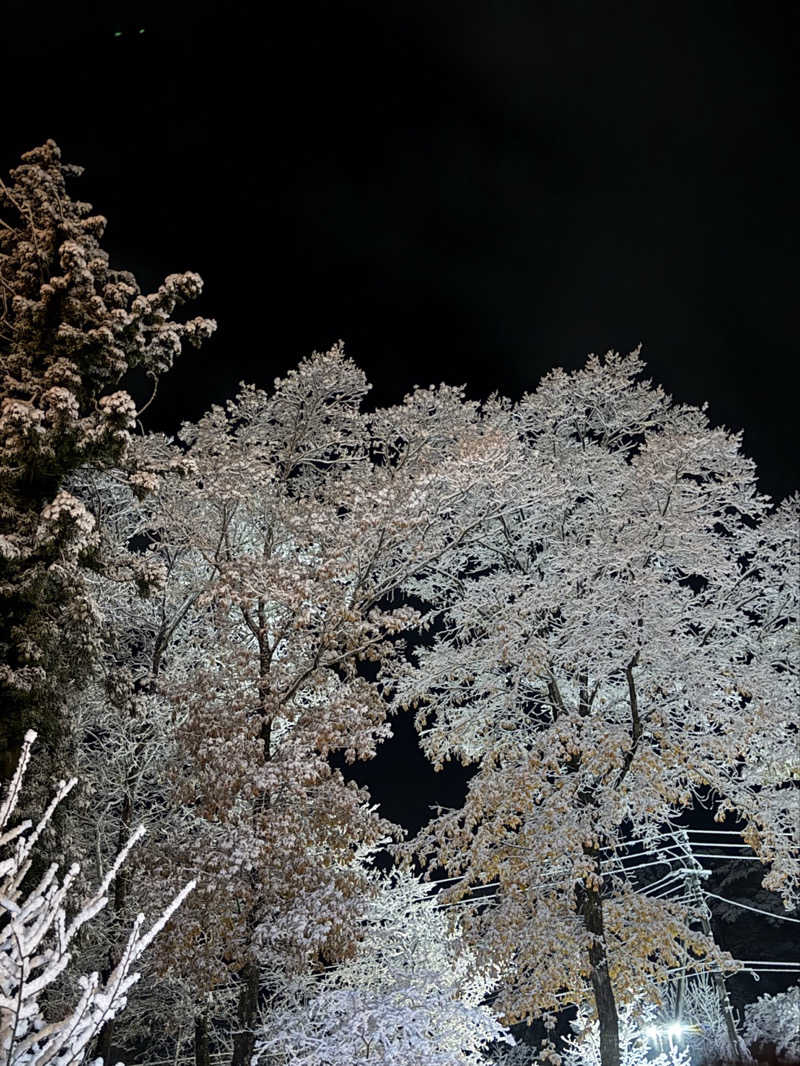 momさんの一関温泉 山桜桃の湯のサ活写真