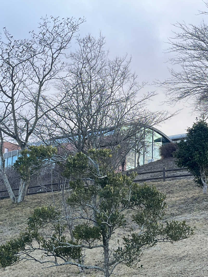 momさんのわくや天平の湯のサ活写真