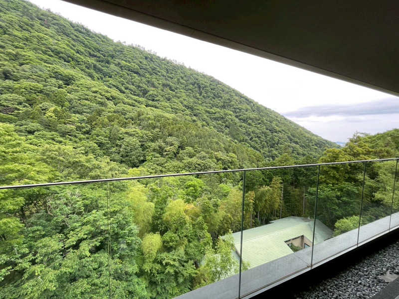 SAUNA・DAVIDさんの小田急 ホテルはつはなのサ活写真