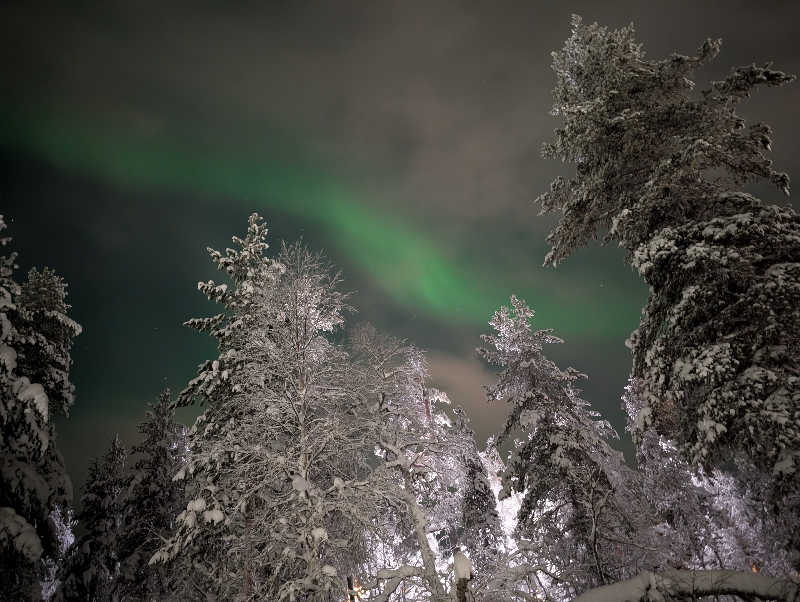 SaKeSaKeさんのSuomen Latu Kiilopää/Fell Centre Kiilopääのサ活写真