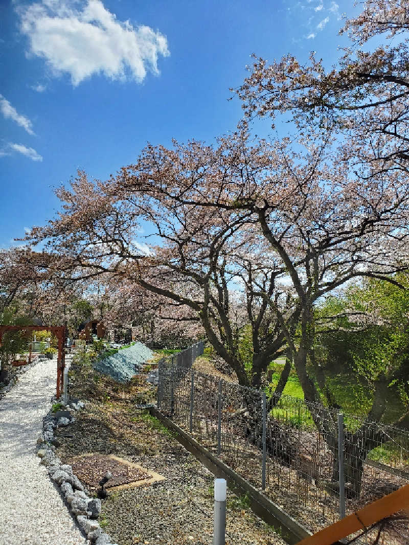 akht-zeroさんのゆ〜とぴあ仙台南のサ活写真