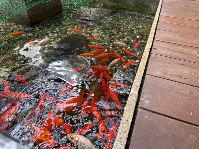 ゆーうこさんの癒しの里 さらい 湯の華のサ活写真