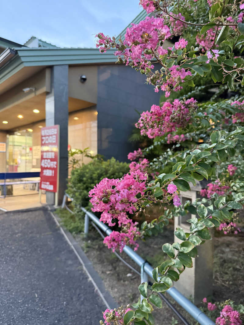 ゆーうこさんのあかね温泉のサ活写真