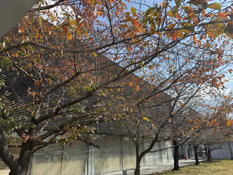 ゆーうこさんの天然温泉 香南楽湯のサ活写真