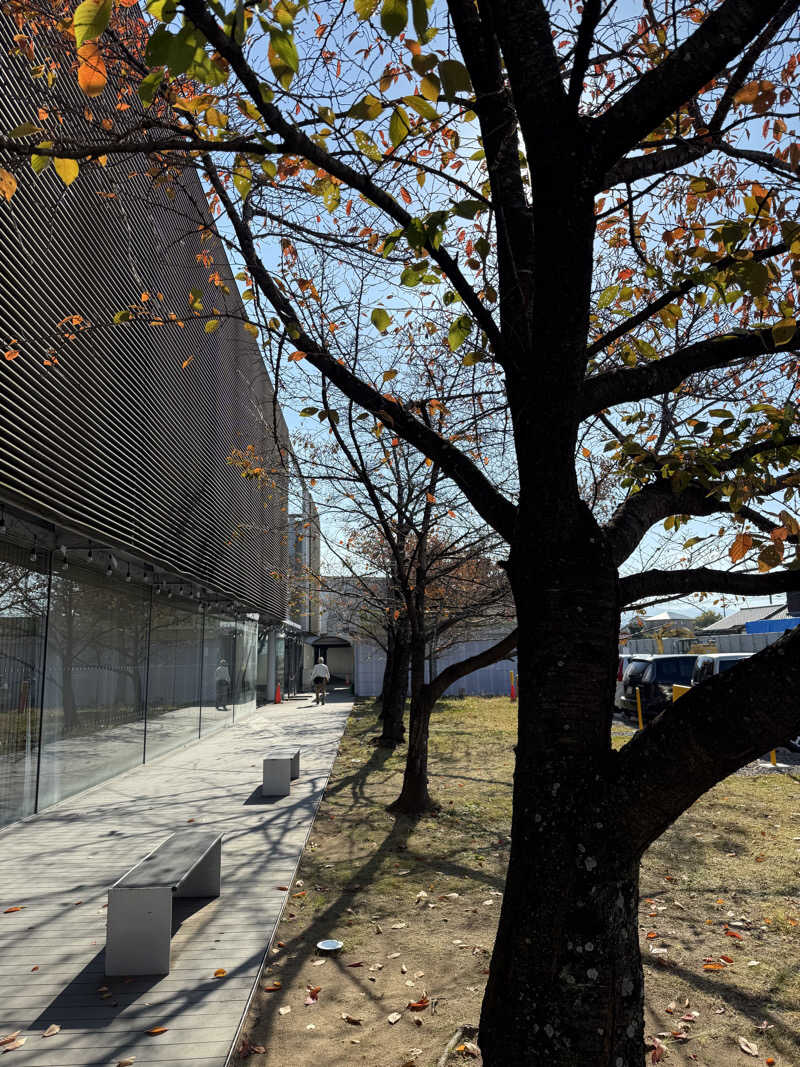 ゆーうこさんの天然温泉 香南楽湯のサ活写真