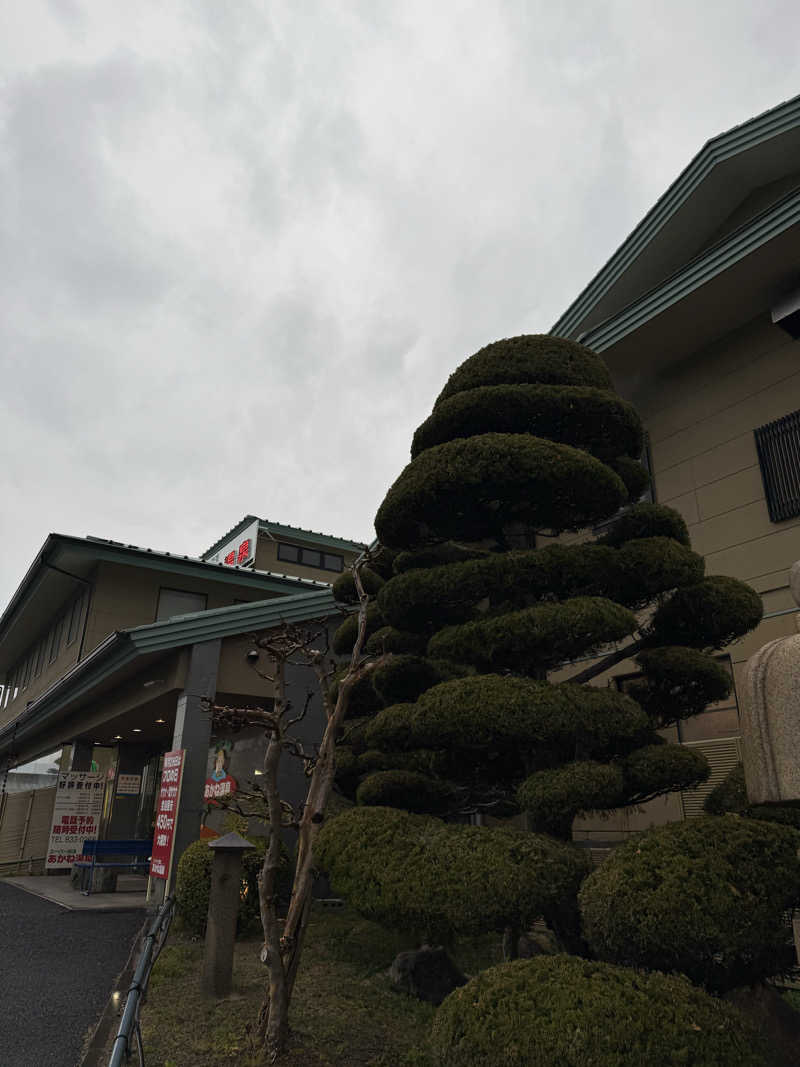 ゆーうこさんのあかね温泉のサ活写真