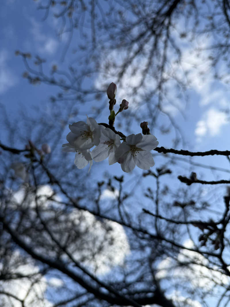 ゆーうこさんの天然温泉 香南楽湯のサ活写真
