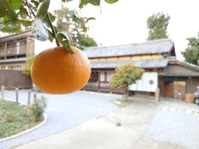 ハマの蒸しまろ🈂️♨️さんのSAUNA NAYAのサ活写真