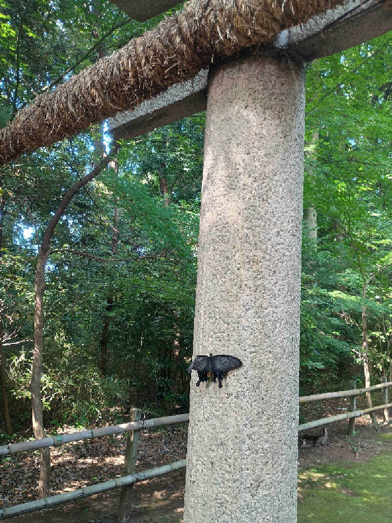 mahi-mahi🐳さんの横濱スパヒルズ 竜泉寺の湯のサ活写真