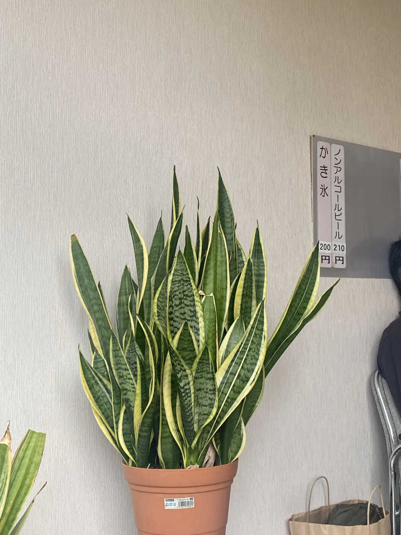 mogaさんのトーヨーグランドホテルのサ活写真