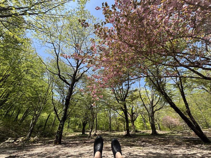 おちょきんさんのNature Sauna(大山隠岐国立公園内・一向平キャンプ場)のサ活写真