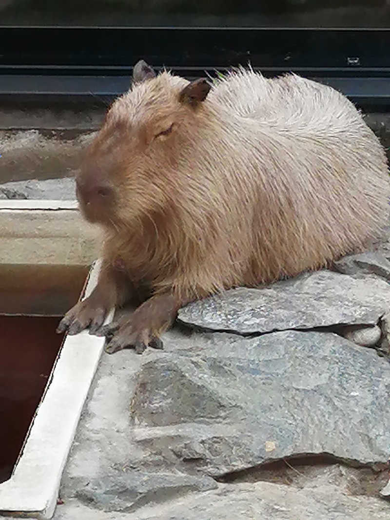 hiroさんの石狩天然温泉 番屋の湯のサ活写真