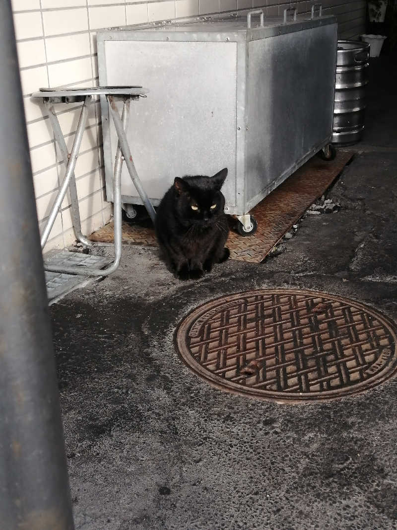 hiroさんの花園温泉のサ活写真