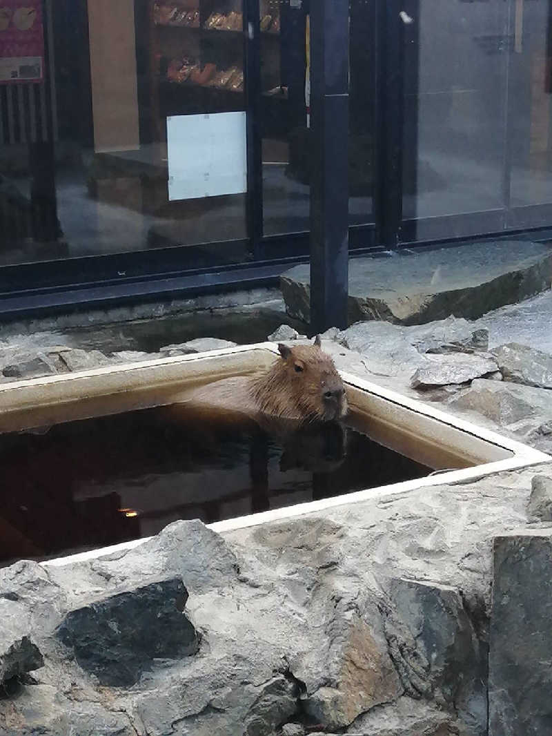 hiroさんの石狩天然温泉 番屋の湯のサ活写真