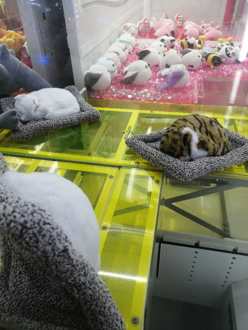 hiroさんの北のたまゆら 江別店のサ活写真