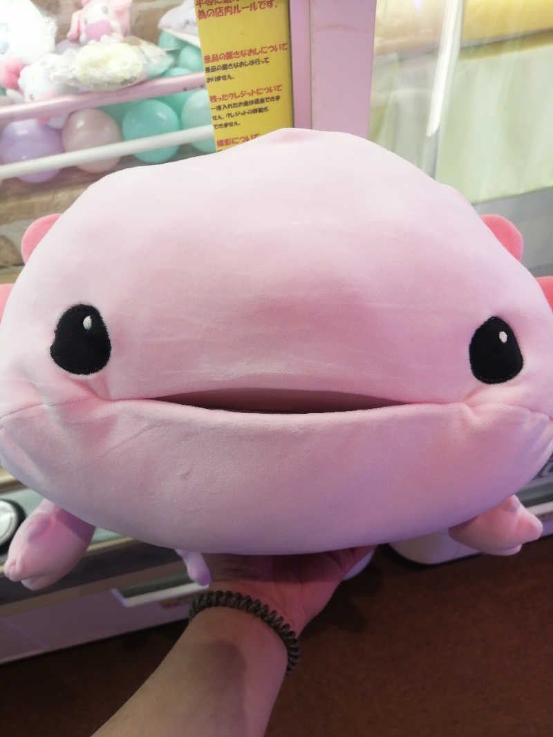 hiroさんの湯処ほのかのサ活写真