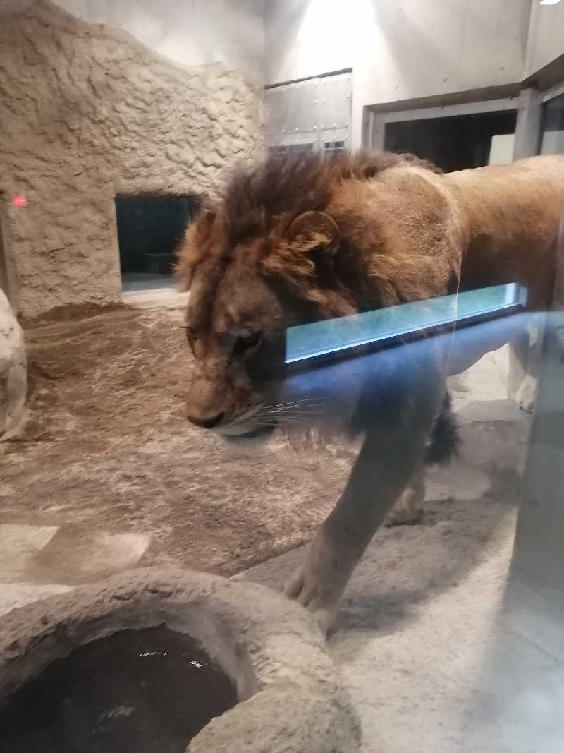 hiroさんの定山渓万世閣ホテルミリオーネのサ活写真