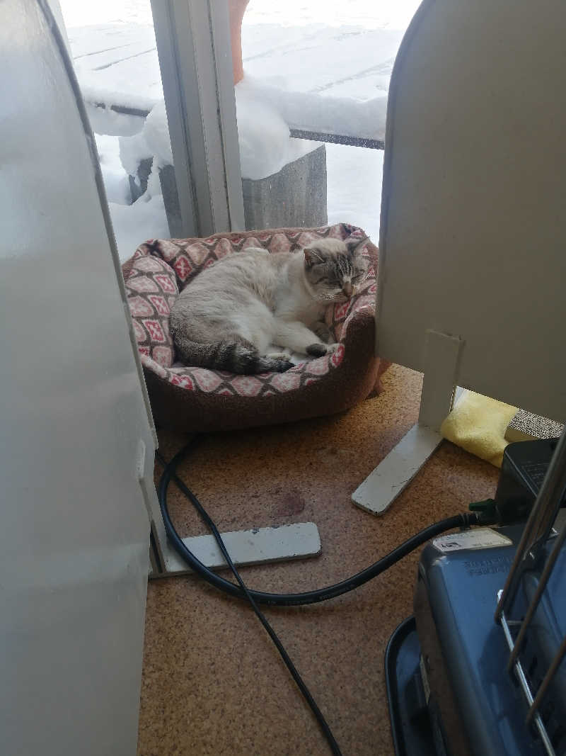 hiroさんの花園温泉のサ活写真