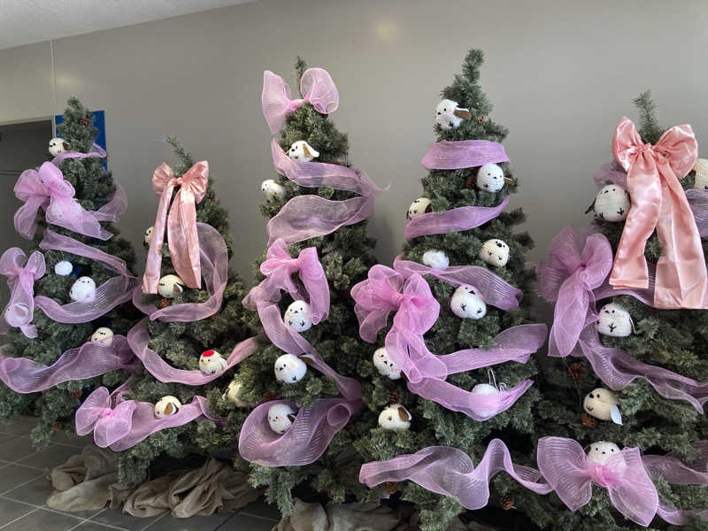 Nさんの天然温泉 大喜湯昭和店のサ活写真