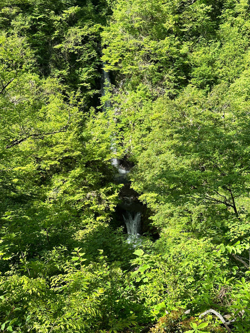 井原 宏さんのNature Sauna(大山隠岐国立公園内・一向平キャンプ場)のサ活写真