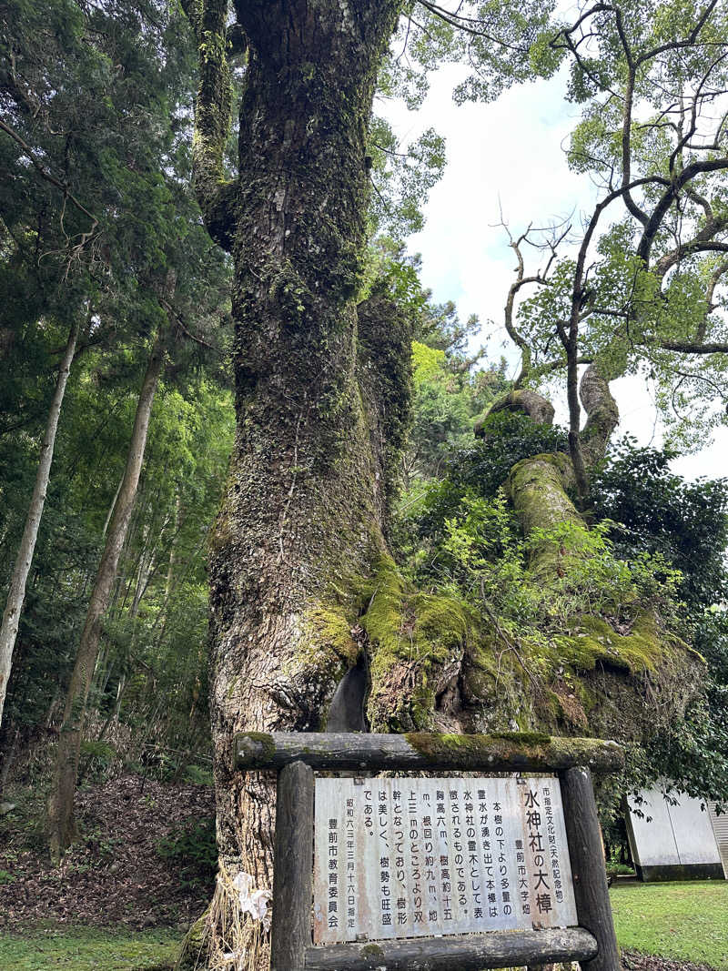 井原 宏さんの畑冷泉館のサ活写真