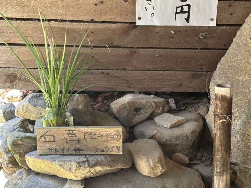 井原 宏さんの東大寺別院阿弥陀寺 石風呂のサ活写真