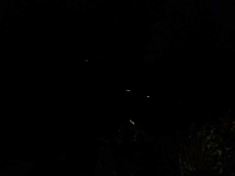 井原 宏さんのVIEHÄttÄVÄ ヴィエハッタヴァのサ活写真