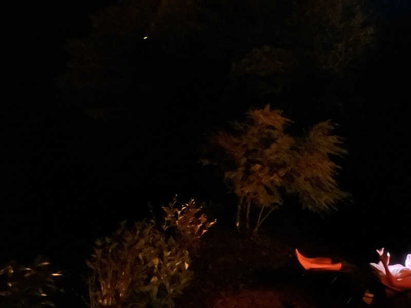 井原 宏さんのVIEHÄttÄVÄ ヴィエハッタヴァのサ活写真