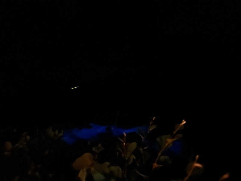 井原 宏さんのVIEHÄttÄVÄ ヴィエハッタヴァのサ活写真