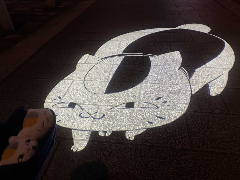 NAJIさんの人吉温泉 清流山水花 あゆの里のサ活写真