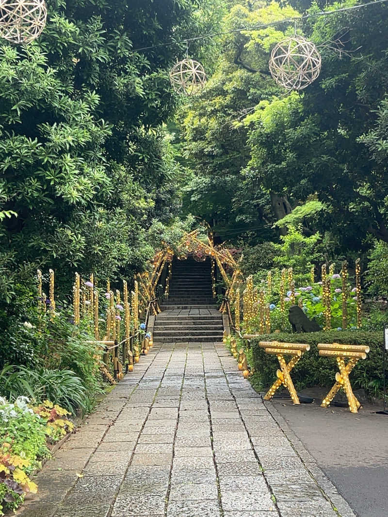 むうさんのよみうりランド眺望温泉 花景の湯のサ活写真