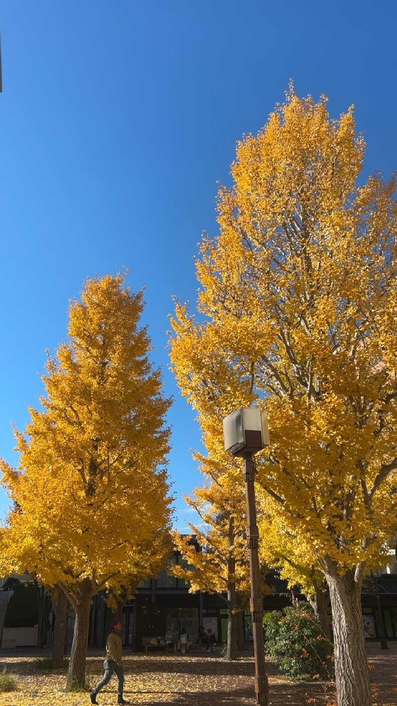 むうさんの極楽湯 多摩センター店のサ活写真