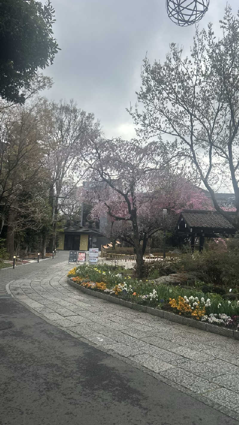 むうさんのよみうりランド眺望温泉 花景の湯のサ活写真