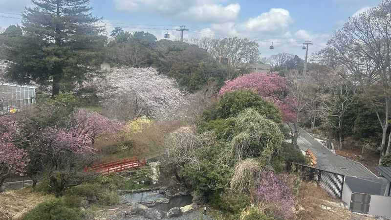 むうさんのよみうりランド眺望温泉 花景の湯のサ活写真