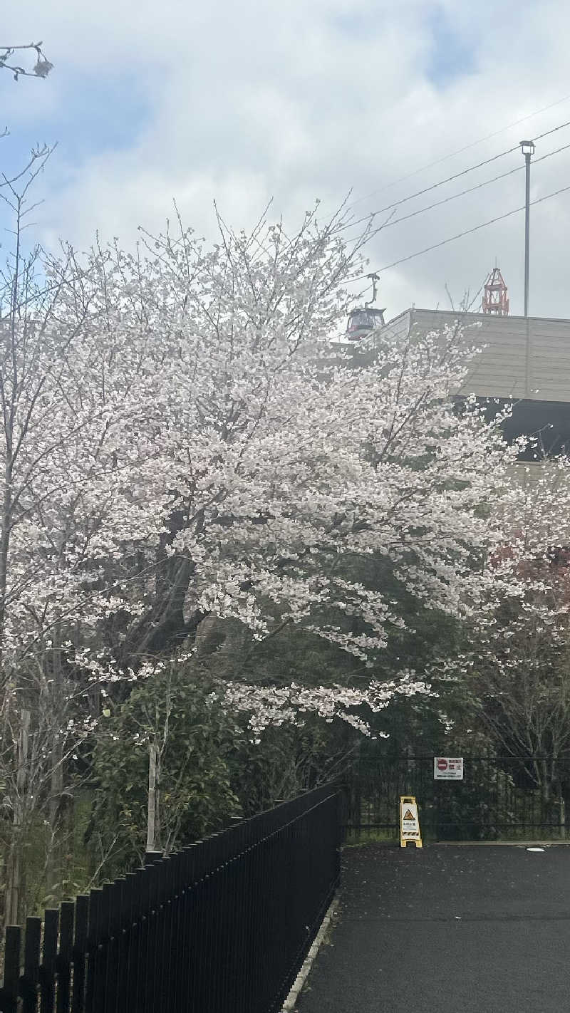 むうさんのよみうりランド眺望温泉 花景の湯のサ活写真
