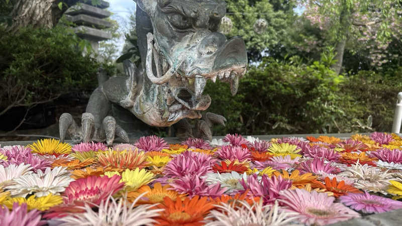 むうさんのよみうりランド眺望温泉 花景の湯のサ活写真