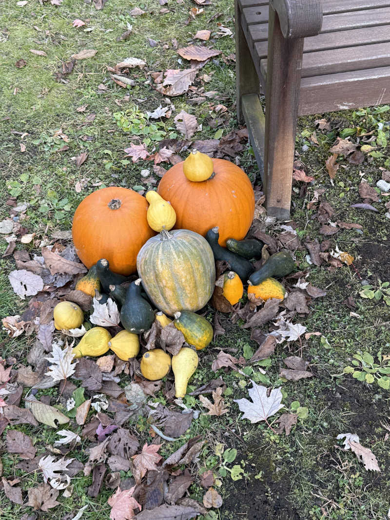 パンダ銭湯さんの日帰り入浴施設マウレ山荘ポッケの湯のサ活写真