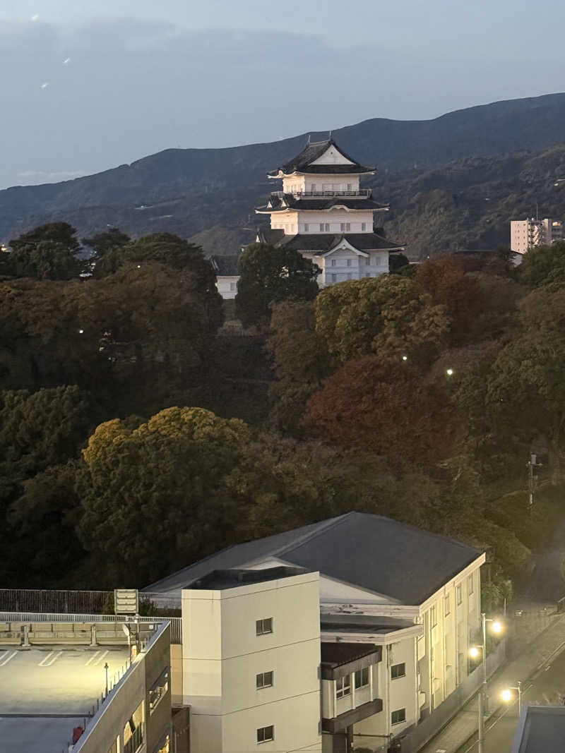 パンダ銭湯さんの天成園 小田原駅 別館のサ活写真