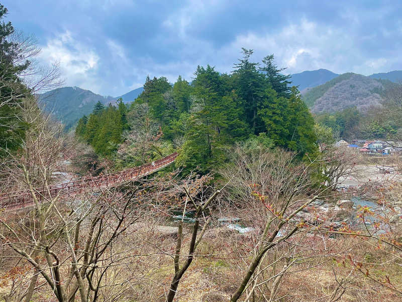 にこにこぷんさんの秋川渓谷 瀬音の湯のサ活写真