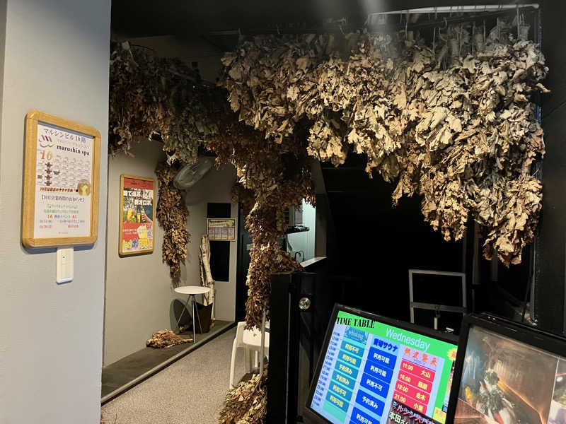 𝑡𝑜𝑏𝑢さんの天空のアジト マルシンスパのサ活写真