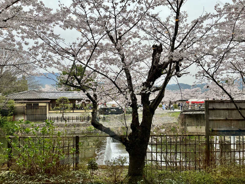 𝑡𝑜𝑏𝑢さんの風風の湯のサ活写真