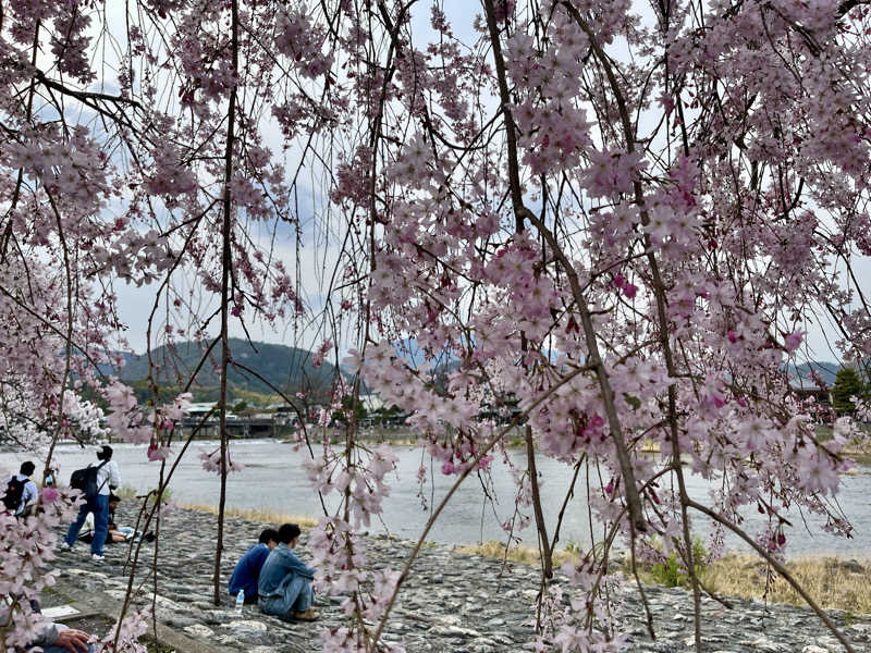𝑡𝑜𝑏𝑢さんの風風の湯のサ活写真
