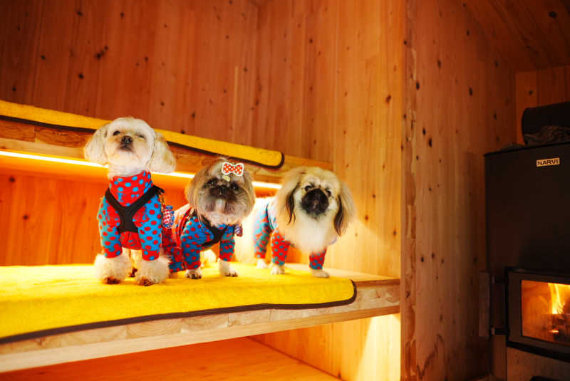 UCさんのEarthboat Minakami Fujiwaraのサ活写真